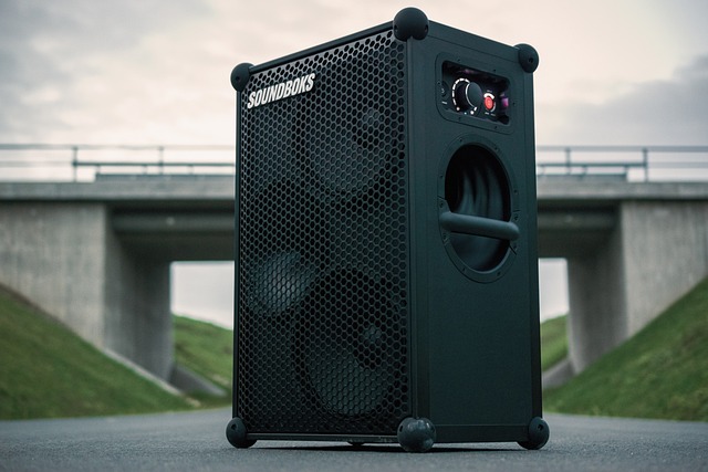Maximize Your Music: The Benefits of Renting a Soundboks for Outdoor Events
